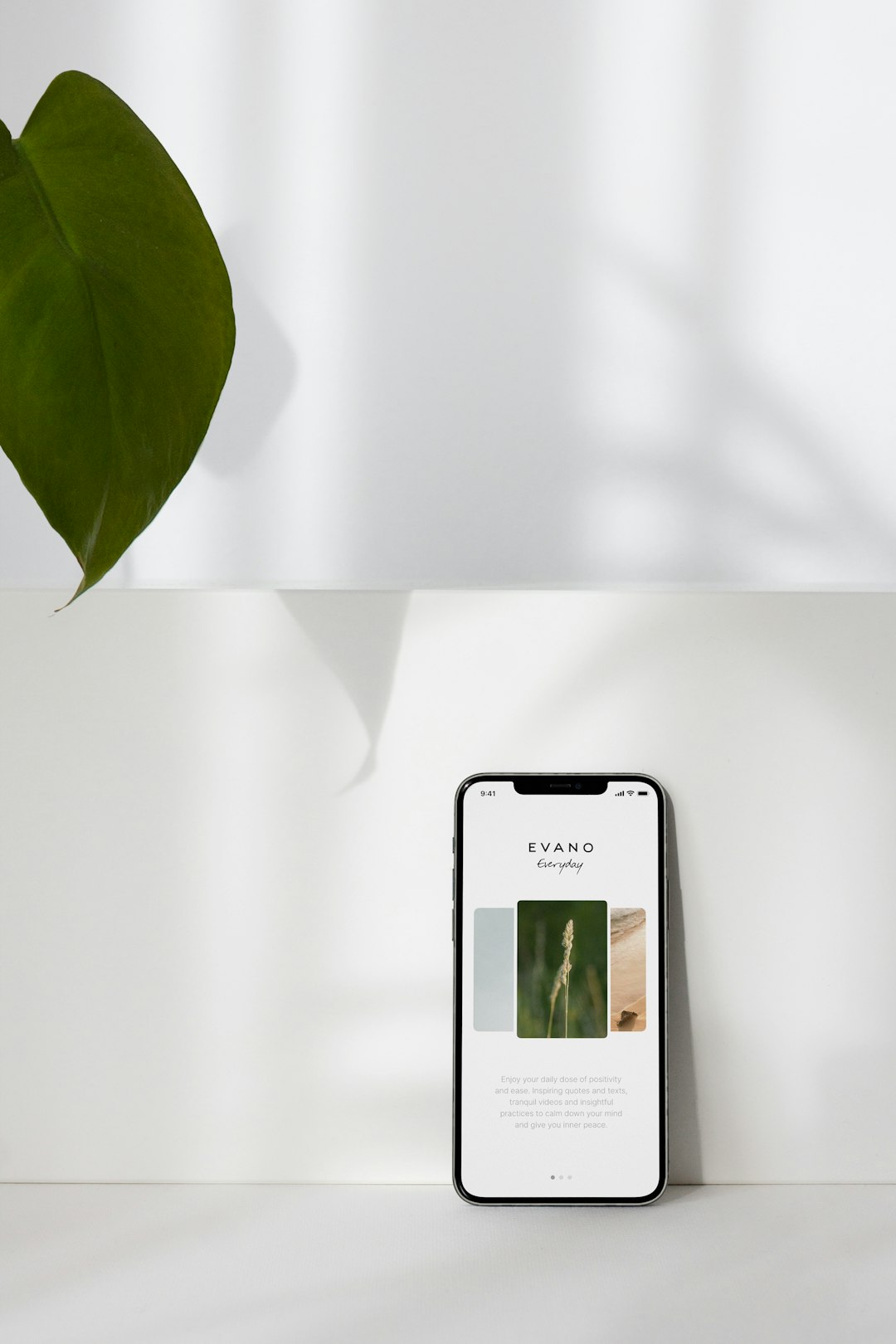 Maquette d'un site WordPress de petite entreprise sur écran d'ordinateur et de téléphone